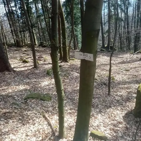 Lastovicka Apartmán