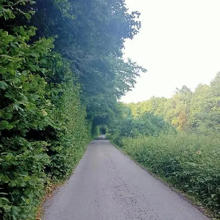 Lastovicka Apartmán Ihrac