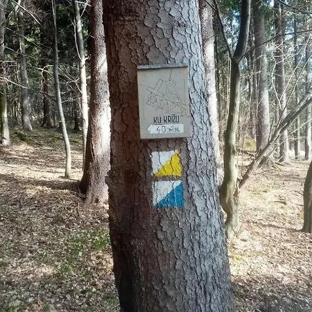 Lastovicka Apartmán *